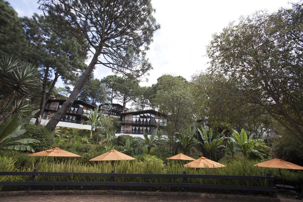 Monteverde Mazamitla Dış mekan fotoğraf